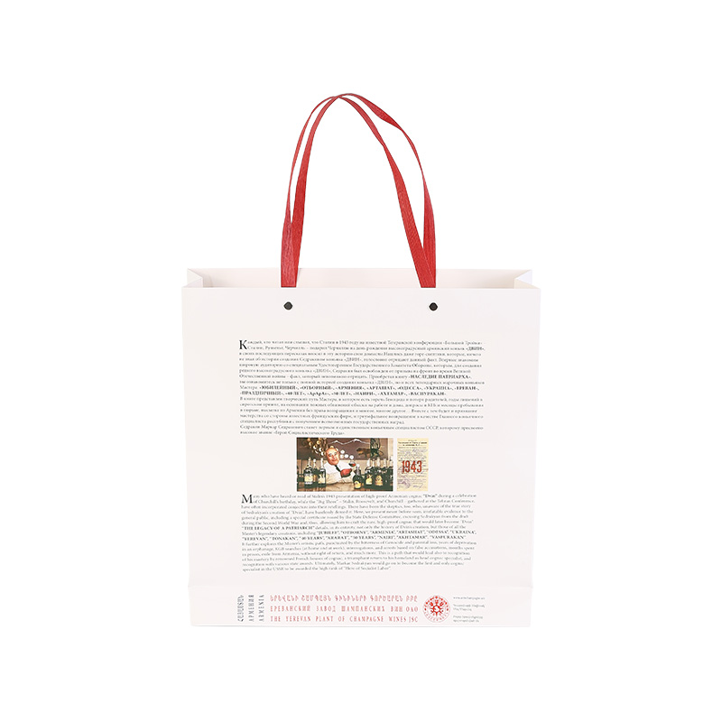 Simple White Paper Gift Party Favor Bag With Handles