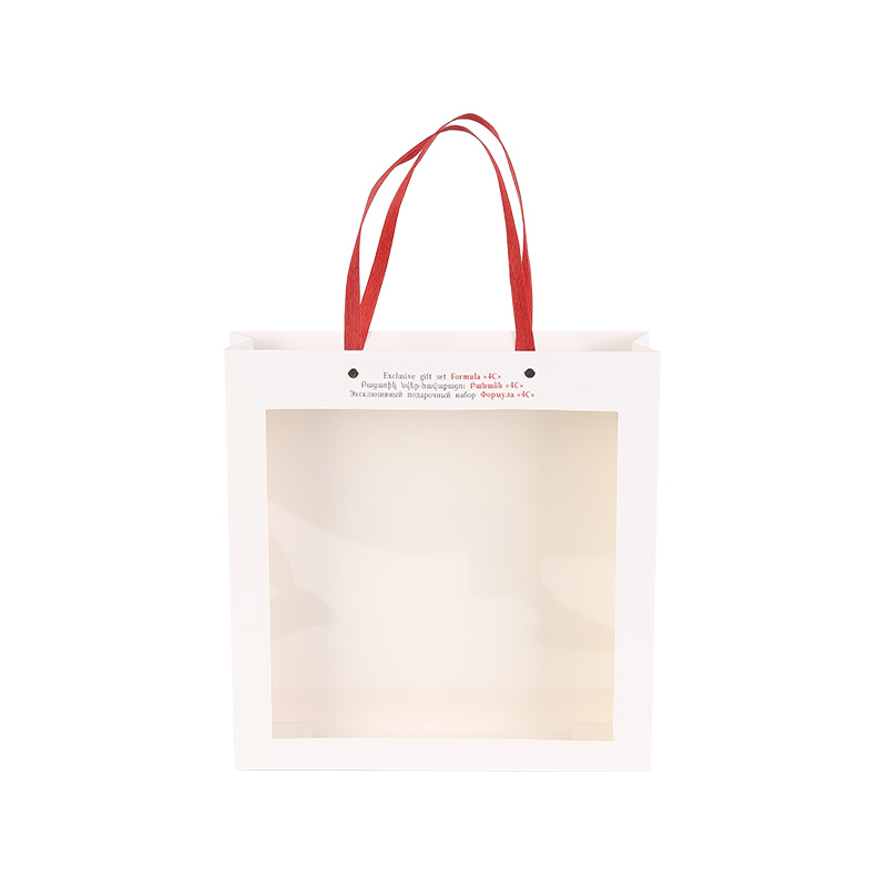 Simple White Paper Gift Party Favor Bag With Handles